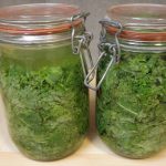 Lactofermentation pour conserver les légumes autrement
