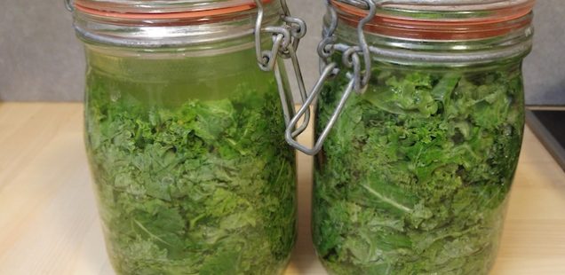 Lactofermentation pour conserver les légumes autrement