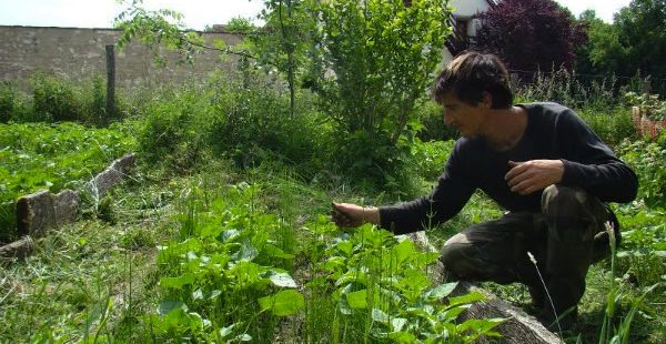 Mode de vie : simplicité, autonomie, permaculture...