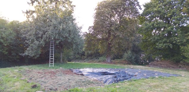 Comment créer son potager sans bêcher ?