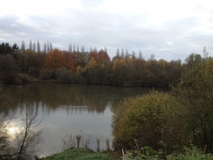 La réserve de "Claire-Fontaine" en automne