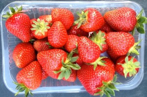 Comment cultiver des fraises au jardin  ?