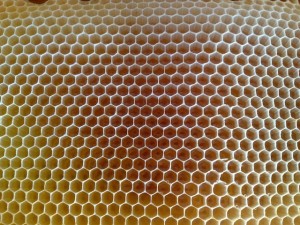Miel en rayon dans la hausse