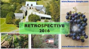 Rétrospective de l’année 2016 et des projets réalisés